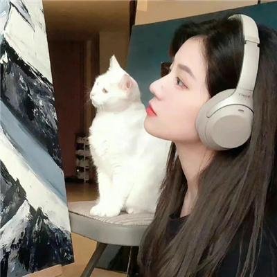 无枪侠